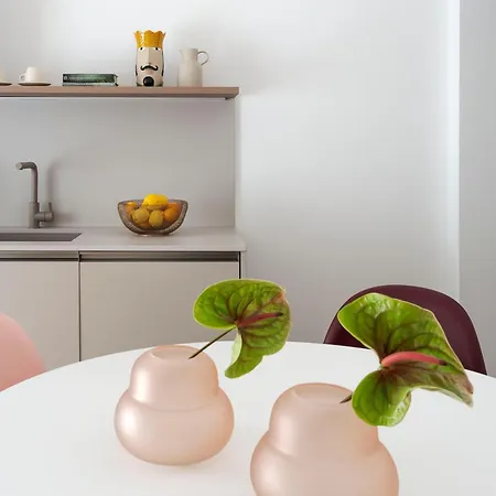 Daire Elysium Boutique -